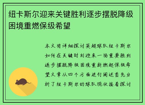 纽卡斯尔迎来关键胜利逐步摆脱降级困境重燃保级希望